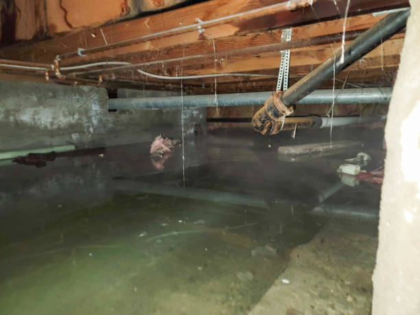 Best 24/7 water damage repair  in Shrub Oak, NY