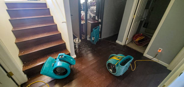 Best Water damage cleanup near me  in Shrub Oak, NY