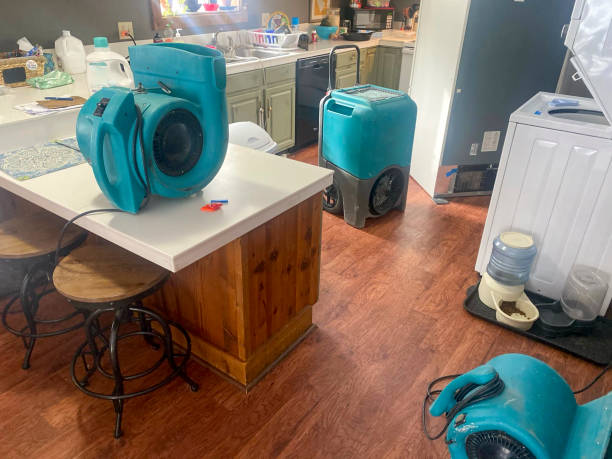 Best Water damage contractors near me  in Shrub Oak, NY