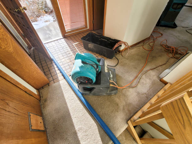 Best Residential water damage restoration  in Shrub Oak, NY