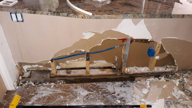 Best Water damage cleanup near me  in Shrub Oak, NY