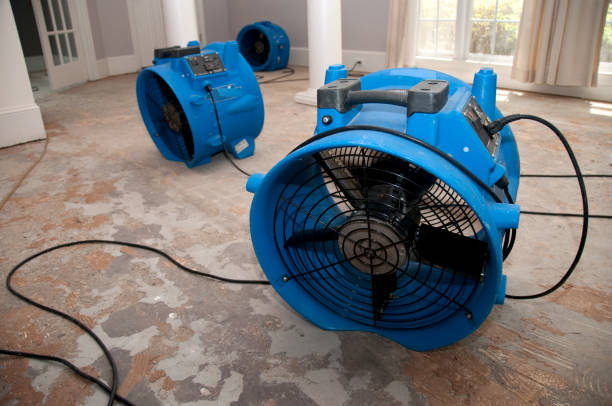 Best Residential water damage restoration  in Shrub Oak, NY
