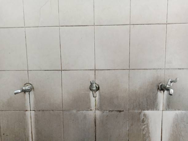 Best Commercial water damage restoration  in Shrub Oak, NY