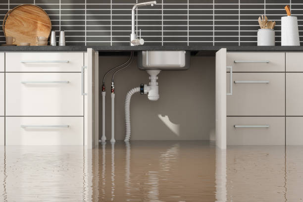 Best Water damage restoration process  in Shrub Oak, NY