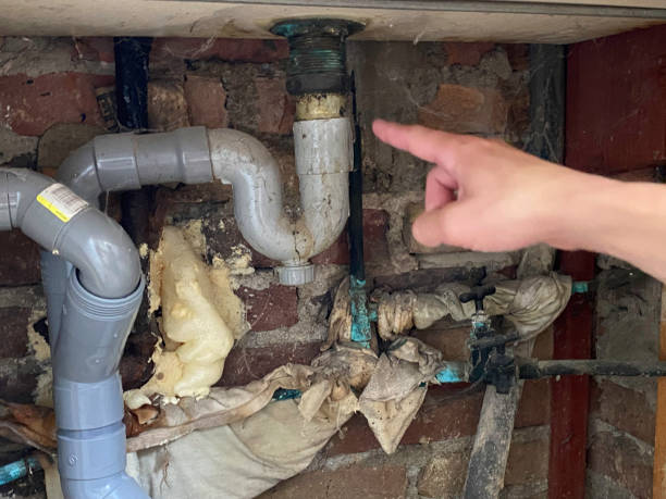 Best Water damage restoration cost  in Shrub Oak, NY