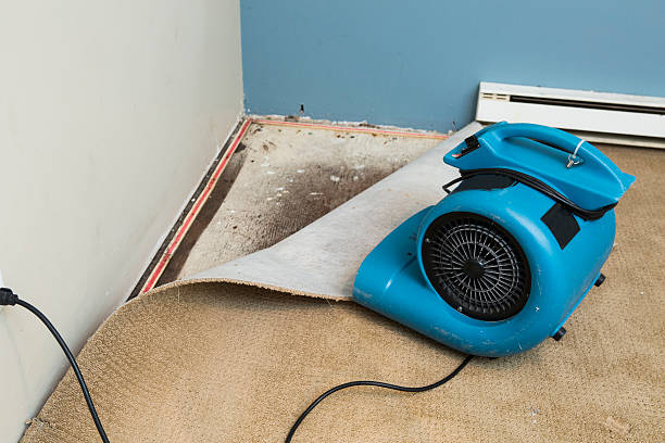 Best Water damage restoration near me  in Shrub Oak, NY
